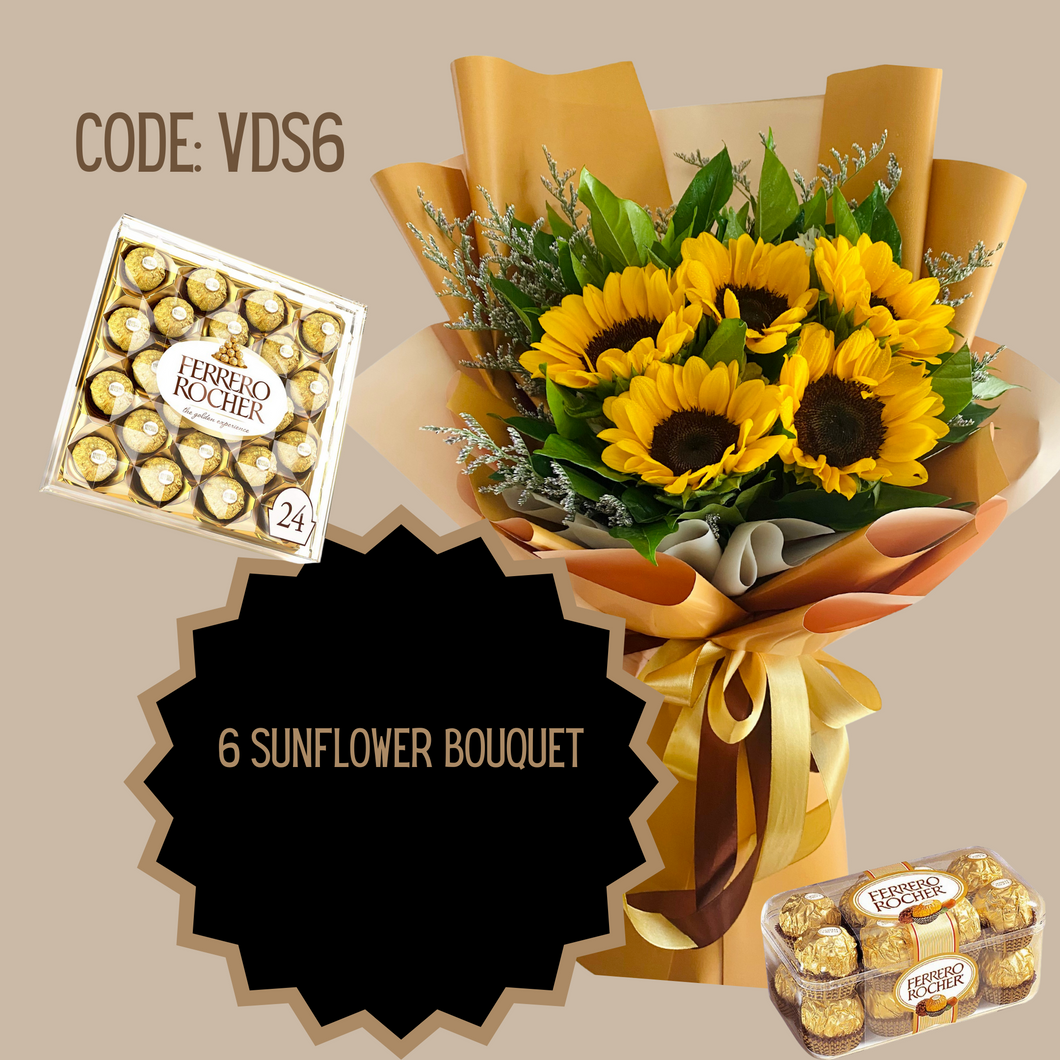VDS6